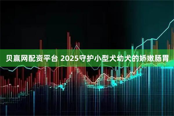 贝赢网配资平台 2025守护小型犬幼犬的娇嫩肠胃