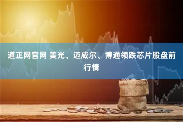 道正网官网 美光、迈威尔、博通领跌芯片股盘前行情